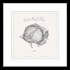 Black and White Wall Art Australia- - Underwater Life 03- Platinum Collection of coral reef fish in black frame