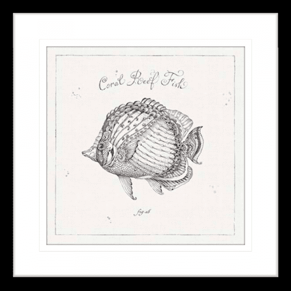 Black and White Wall Art Australia- - Underwater Life 03- Platinum Collection of coral reef fish in black frame