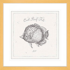 Black and White Wall Art Australia- - Underwater Life 03- Platinum Collection of coral reef fish in oak frame