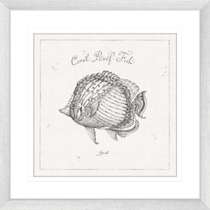 Black and White Wall Art Australia- - Underwater Life 03- Platinum Collection of coral reef fish in silver frame