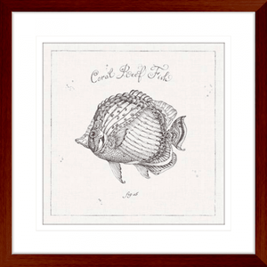 Black and White Wall Art Australia- - Underwater Life 03- Platinum Collection of coral reef fish in wood frame