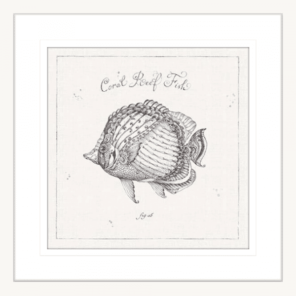 Black and White Wall Art Australia- - Underwater Life 03- Platinum Collection of coral reef fish in white frame