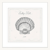 Black and White Wall Art Australia - Underwater Life 03- Platinum Collection on beautiful hand drawn scallop shell in white frame