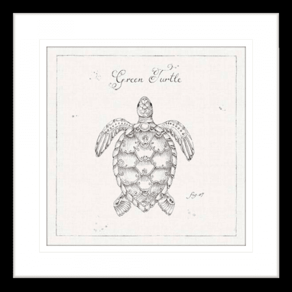 Marine Wall Art - Underwater Life 05 - Platinum Collection. Featuring a hand drawn  black and white image of a large green turtle in black frame