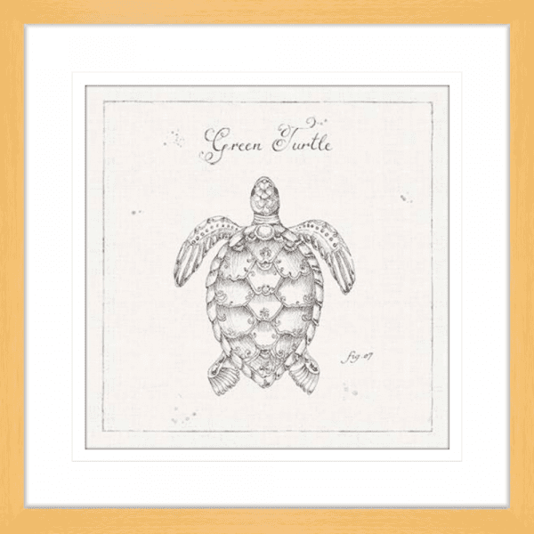 Marine Wall Art - Underwater Life 05 - Platinum Collection. Featuring a hand drawn  black and white image of a large green turtle in oak frame