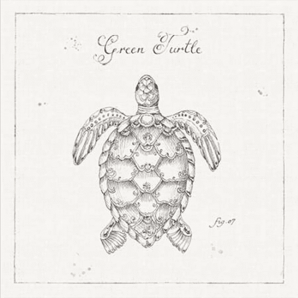 Marine Wall Art - Underwater Life 05 - Platinum Collection. Featuring a hand drawn  black and white image of a large green turtle on canvas