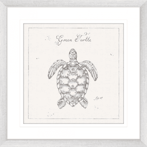 Marine Wall Art - Underwater Life 05 - Platinum Collection. Featuring a hand drawn  black and white image of a large green turtle in silver frame