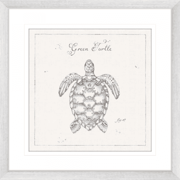 Marine Wall Art - Underwater Life 05 - Platinum Collection. Featuring a hand drawn  black and white image of a large green turtle in silver frame