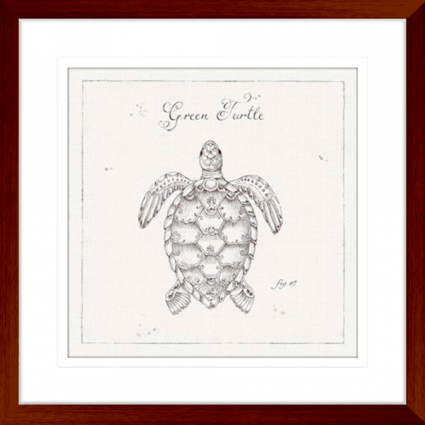 Marine Wall Art - Underwater Life 05 - Platinum Collection. Featuring a hand drawn  black and white image of a large green turtle in wood frame