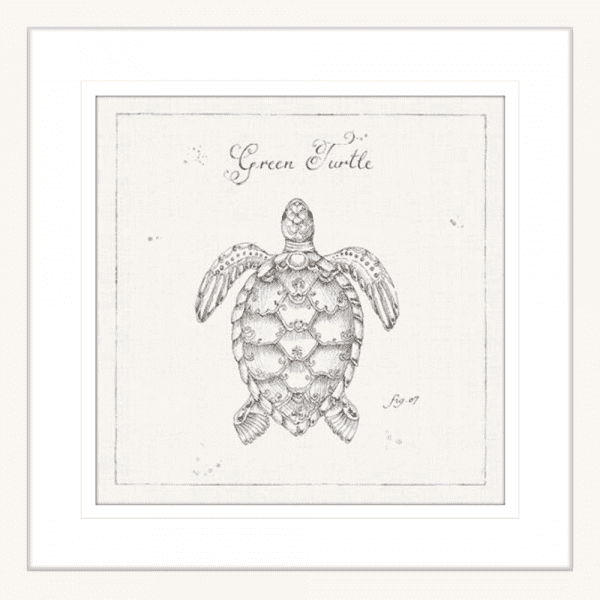 Marine Wall Art - Underwater Life 05 - Platinum Collection. Featuring a hand drawn  black and white image of a large green turtle - in white frame 