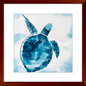 Sea Turtle Photos - Swimming Turtle 02 - Platinum Collection