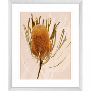 Australian wattle tree fauna, in tan against a soft pink background in a silver frame