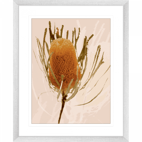 Australian wattle tree fauna, in tan against a soft pink background in a silver frame