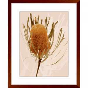 Wood framed Australian wattle tree fauna, in tan against a soft pink background