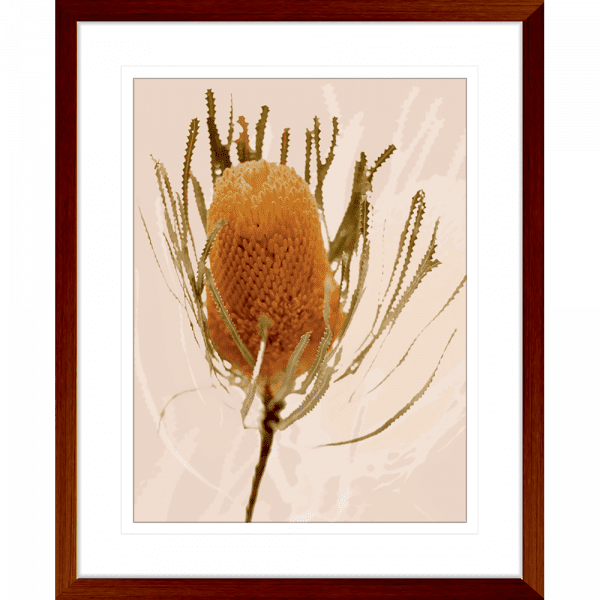 Wood framed Australian wattle tree fauna, in tan against a soft pink background