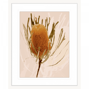 Australian wattle tree fauna, in tan against a soft pink background in a white frame