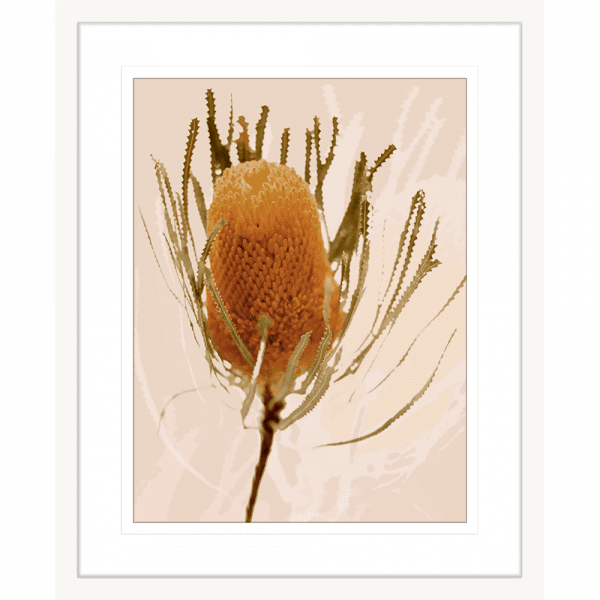 Australian wattle tree fauna, in tan against a soft pink background in a white frame