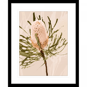 Black framed Australian Native Wall Art featuring the Australian wattle tree in pale pinks, olive green and neutral tones