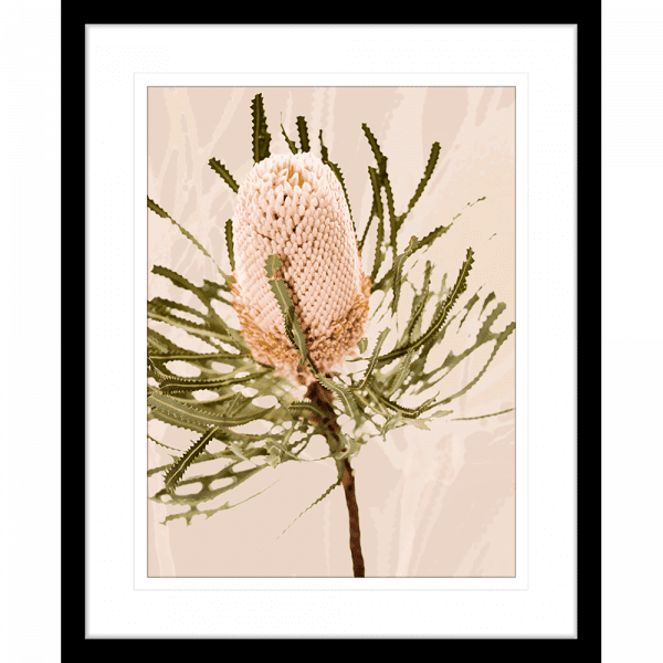 Black framed Australian Native Wall Art featuring the Australian wattle tree in pale pinks, olive green and neutral tones