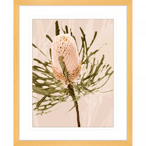 Gold framed Australian Native Wall Art featuring the Australian wattle tree in pale pinks, olive green and neutral tones