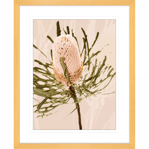 Gold framed Australian Native Wall Art featuring the Australian wattle tree in pale pinks, olive green and neutral tones