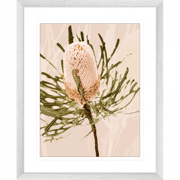 Silver framed Australian Native Wall Art featuring the Australian wattle tree in pale pinks, olive green and neutral tones