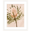 White framed Australian Native Wall Art featuring the Australian wattle tree in pale pinks, olive green and neutral tones