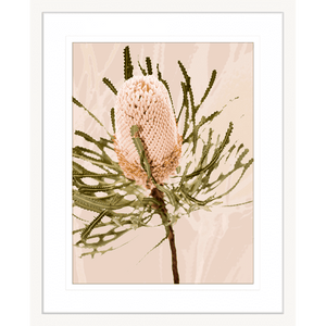 White framed Australian Native Wall Art featuring the Australian wattle tree in pale pinks, olive green and neutral tones