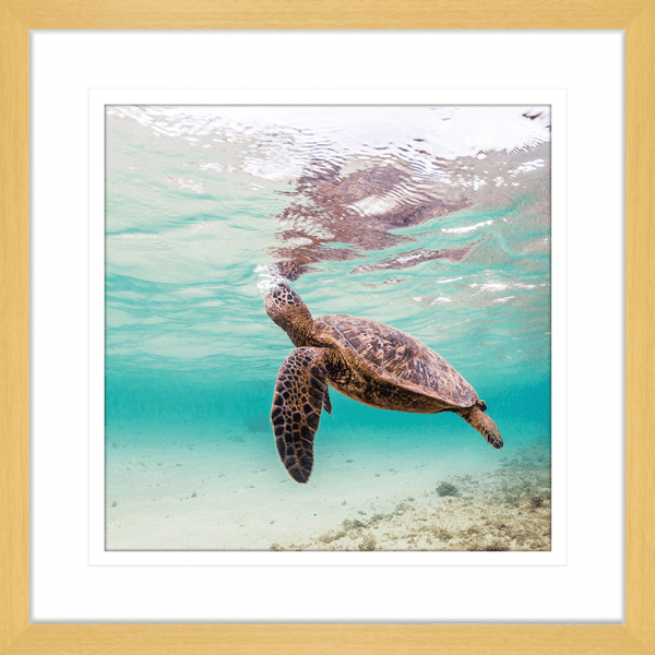 Tropical Wall Art Australia - By The Seaside 02 - Standard Collection in oak frame