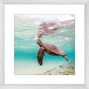 Tropical Wall Art Australia - By The Seaside 02 - Standard Collection in silver frame