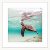 Tropical Wall Art Australia - By The Seaside 02 - Standard Collection in white frame