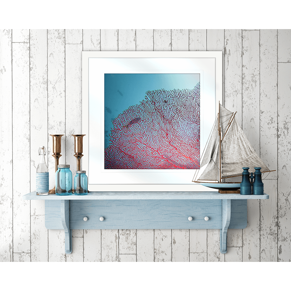 Coral Wall Art Australia - By The Seaside 03 - Standard Collection wall mounted