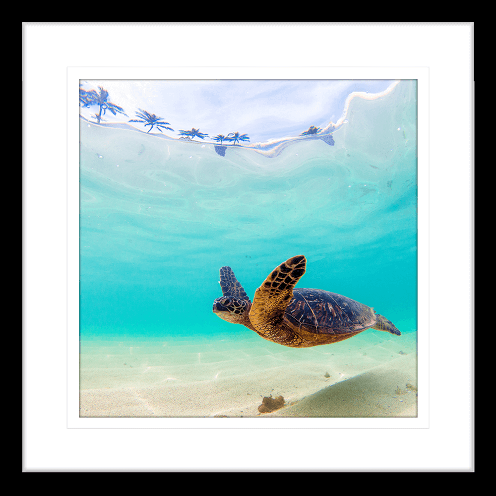 Tropical Wall Art Australia - By The Seaside 05 - Standard Collection in black frame