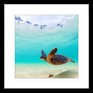 Tropical Wall Art Australia - By The Seaside 05 - Standard Collection in black frame