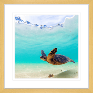 Tropical Wall Art Australia - By The Seaside 05 - Standard Collection in cashew frame