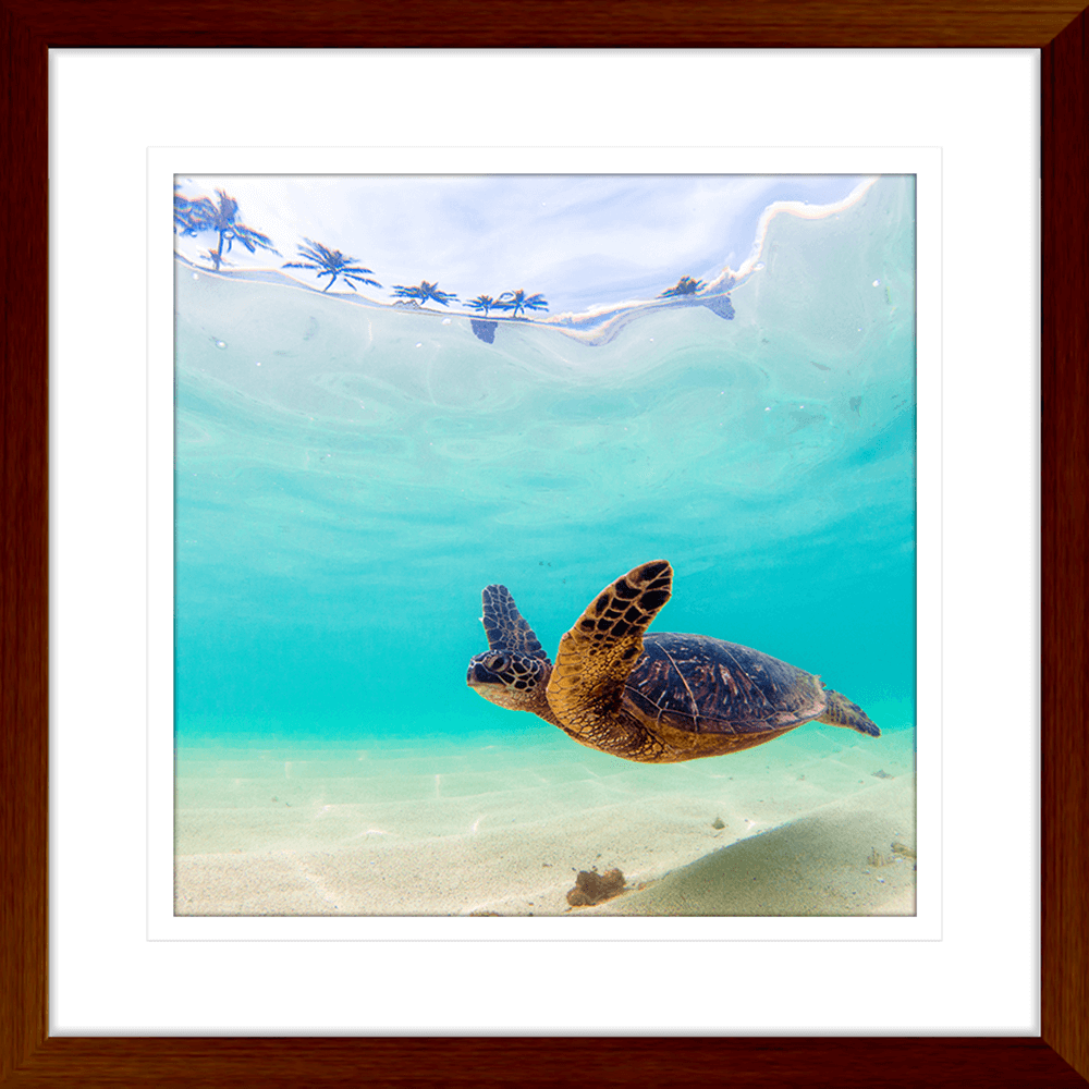 Tropical Wall Art Australia - By The Seaside 05 - Standard Collection in wood frame