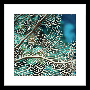 Coral Wall Art Australia - By The Seaside 15 - Standard Collection in black frame