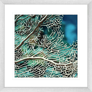 Coral Wall Art Australia - By The Seaside 15 - Standard Collection i silver frame