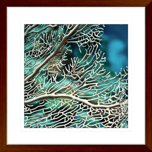 Coral Wall Art Australia - By The Seaside 15 - Standard Collection in wood frame