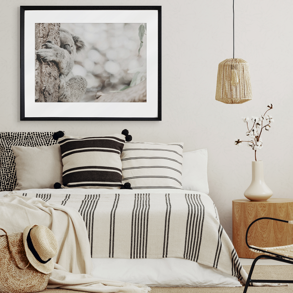 Koala Photo by the Australia Wall Art - Heritage 02 Studio Collection wall mounted in black frame