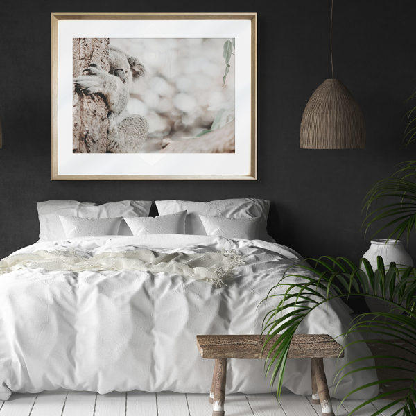 Koala Photo by the Australia Wall Art - Heritage 02 Studio Collection wall mounted in bedroom