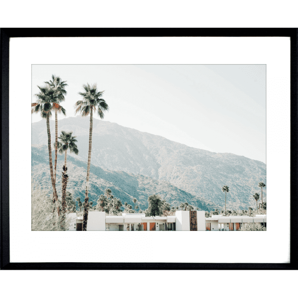 Palm Tree Wall Art - La Palma 04 - Studio Collection