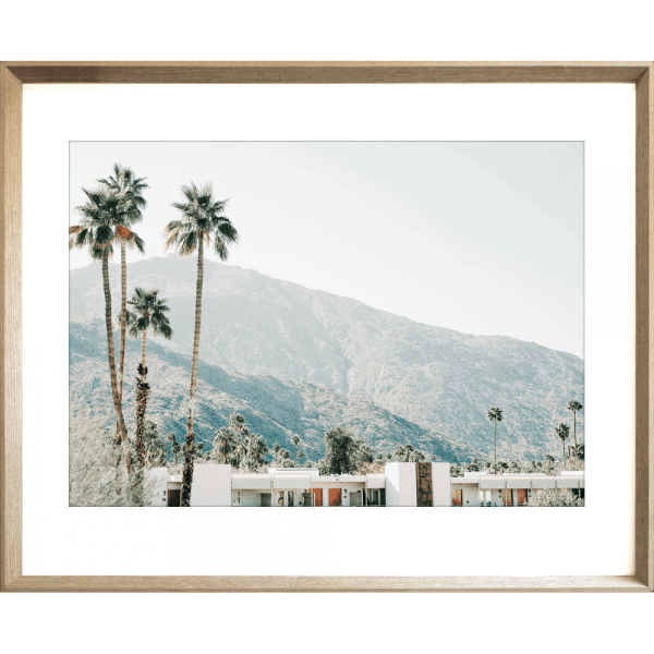 Palm Tree Wall Art - La Palma 04 - Studio Collection