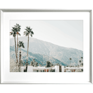 Palm Tree Wall Art - La Palma 04 - Studio Collection