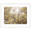 Wattle Tree Photo by the Australia Wall Art - Outback Oasis 01 Standard Collection in white frame