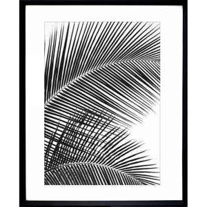 Black and White Photo of palm trees - Hidden Cove 01 - Studio Collection from Mis Wall Art in black frame