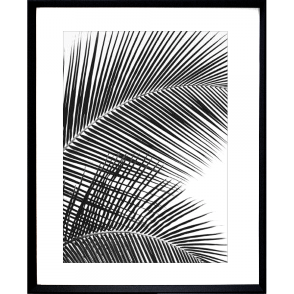 Black and White Photo of palm trees - Hidden Cove 01 - Studio Collection from Mis Wall Art in black frame