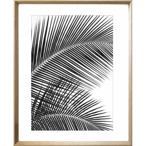 Black and White Photo of palm trees - Hidden Cove 01 - Studio Collection from Mis Wall Art in cashew frame