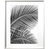 Black and White Photo of palm trees - Hidden Cove 01 - Studio Collection from Mis Wall Art in white frame