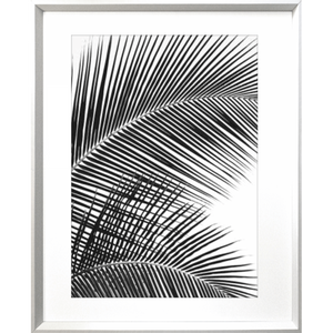 Black and White Photo of palm trees - Hidden Cove 01 - Studio Collection from Mis Wall Art in white frame